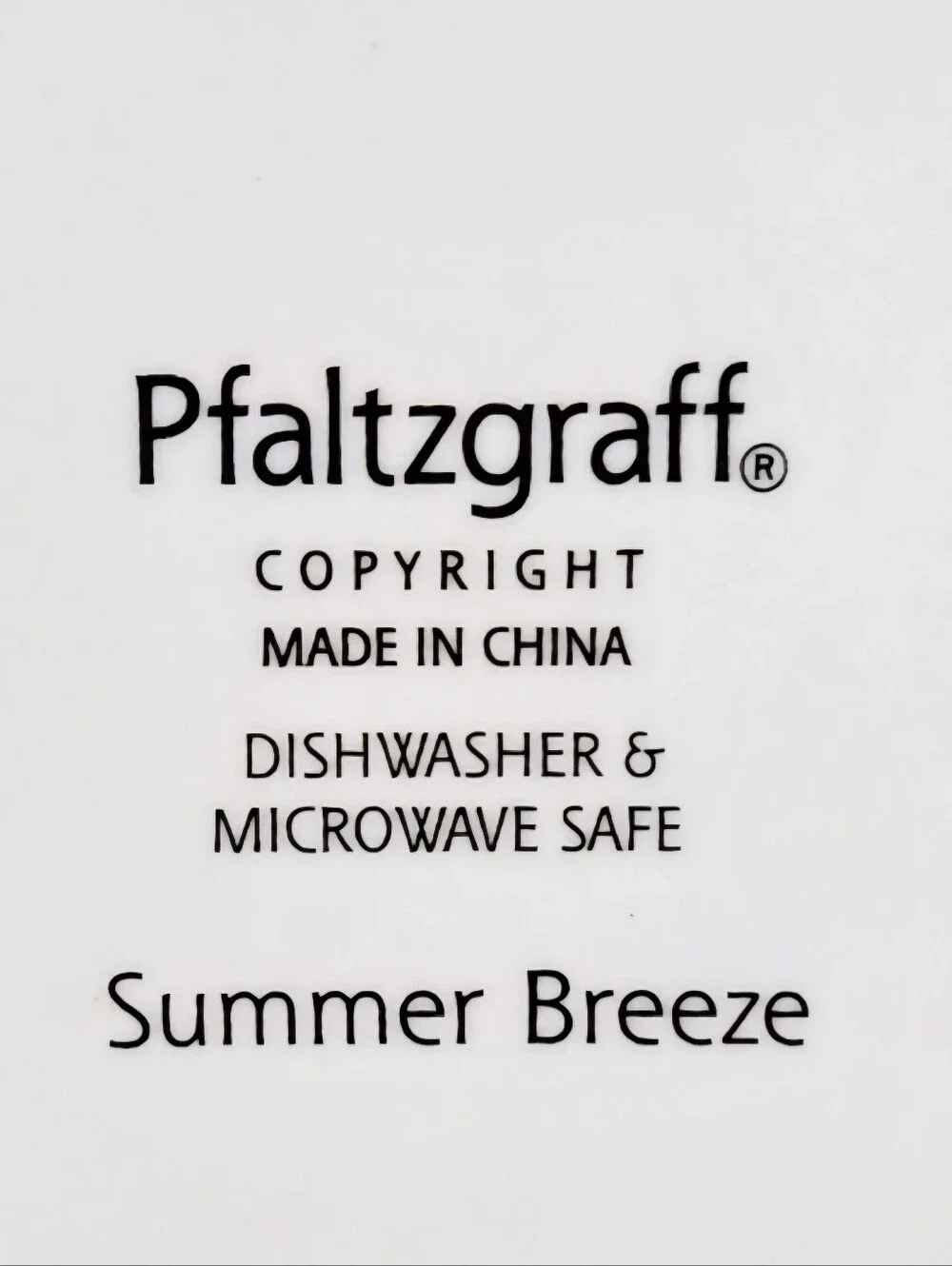 Pfaltzgraff Summer Breeze SNTR11 11
